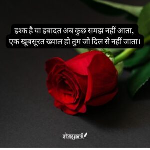 dil love shayari