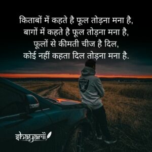 broken heart shayari photo